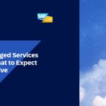 SAP Managed Services (AMS): What To Expect Post Go-Live