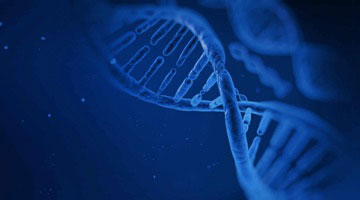 home__pharma@2x