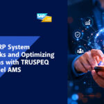 Solving ERP System Bottlenecks and Optimizing Operations with TRUSPEQ Edge Model AMS